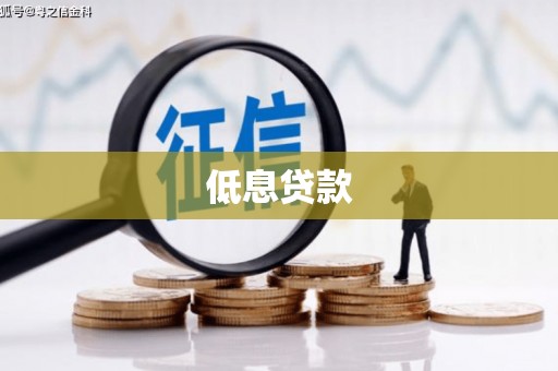 天元低息贷款