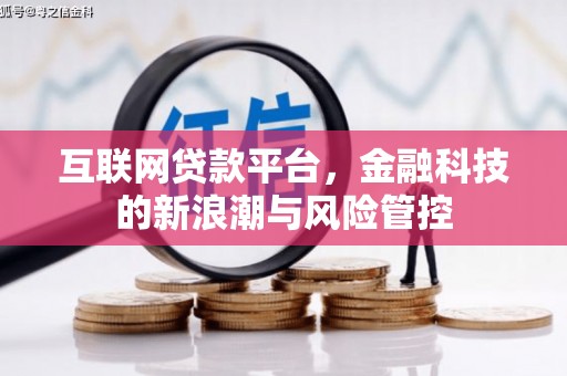 天元互联网贷款平台，金融科技的新浪潮与风险管控
