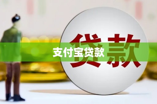 天元支付宝贷款
