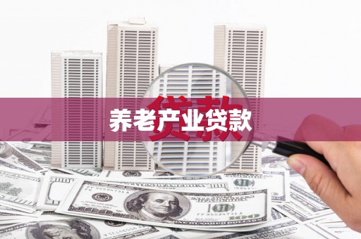 天元养老产业贷款