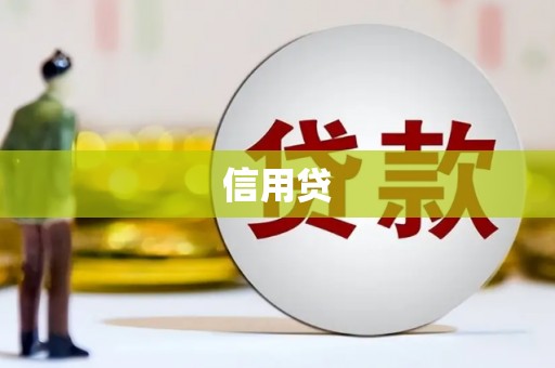 天元信用贷