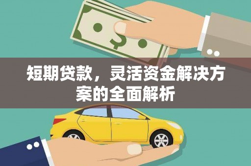 天元短期贷款，灵活资金解决方案的全面解析