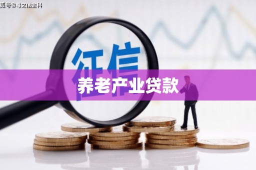 天元养老产业贷款