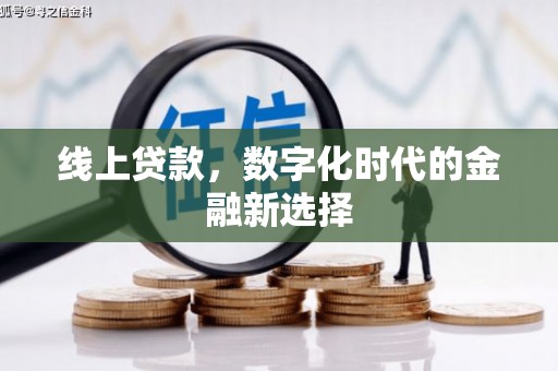 天元线上贷款，数字化时代的金融新选择