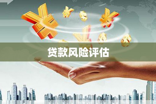 天元贷款风险评估