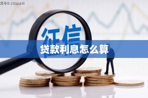 天元贷款利息怎么算
