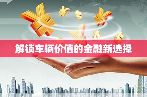 天元解锁车辆价值的金融新选择