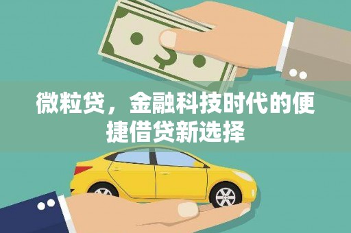 天元微粒贷，金融科技时代的便捷借贷新选择