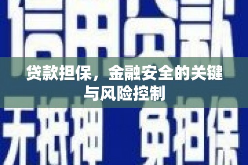 天元贷款担保，金融安全的关键与风险控制