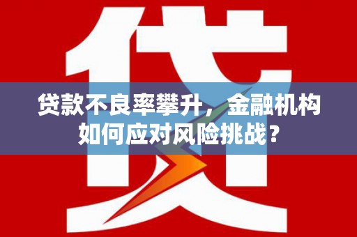 天元贷款不良率攀升，金融机构如何应对风险挑战？