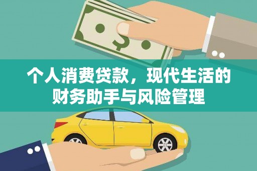 天元个人消费贷款，现代生活的财务助手与风险管理