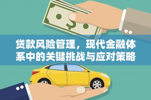 天元贷款风险管理，现代金融体系中的关键挑战与应对策略
