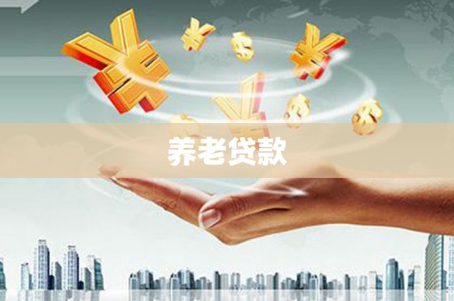 天元养老贷款