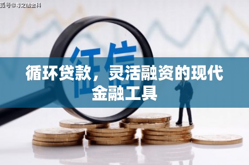天元循环贷款，灵活融资的现代金融工具