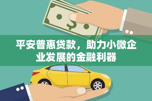 天元平安普惠贷款，助力小微企业发展的金融利器