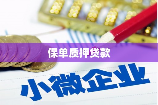 天元保单质押贷款
