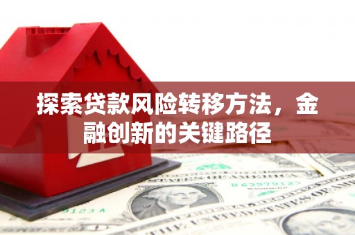 天元探索贷款风险转移方法，金融创新的关键路径
