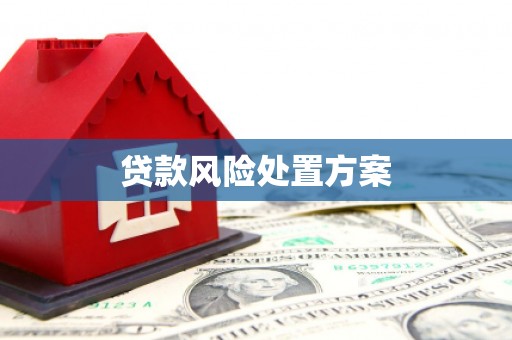 天元贷款风险处置方案