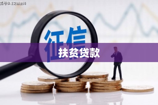 天元扶贫贷款
