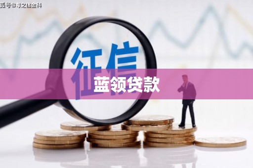 天元蓝领贷款