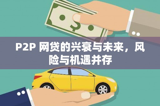 天元P2P 网贷的兴衰与未来，风险与机遇并存