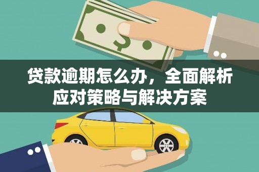 天元贷款逾期怎么办，全面解析应对策略与解决方案