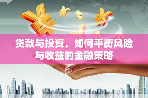天元贷款与投资，如何平衡风险与收益的金融策略