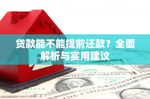 天元贷款能不能提前还款？全面解析与实用建议