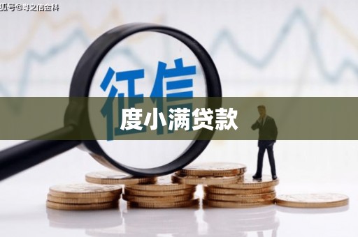 天元度小满贷款