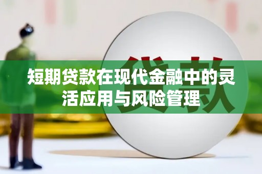 天元短期贷款在现代金融中的灵活应用与风险管理