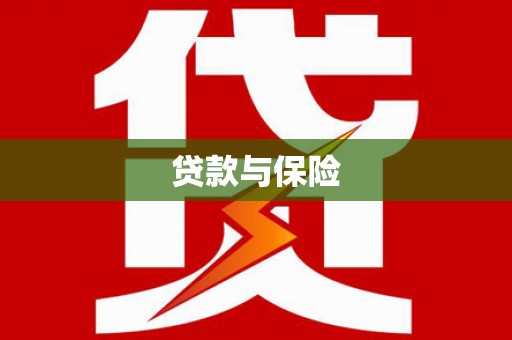 天元贷款与保险