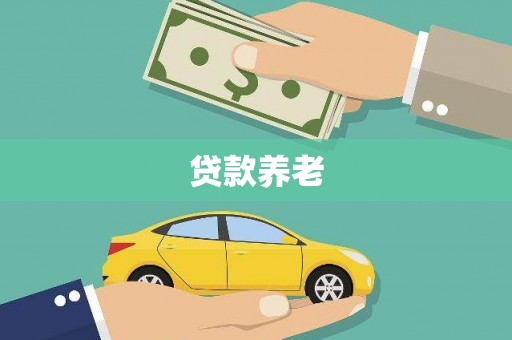 天元贷款养老