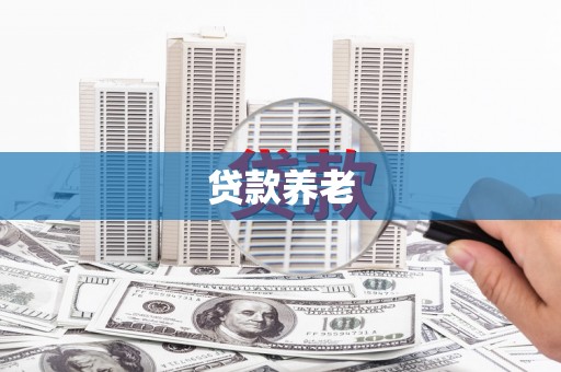 天元贷款养老