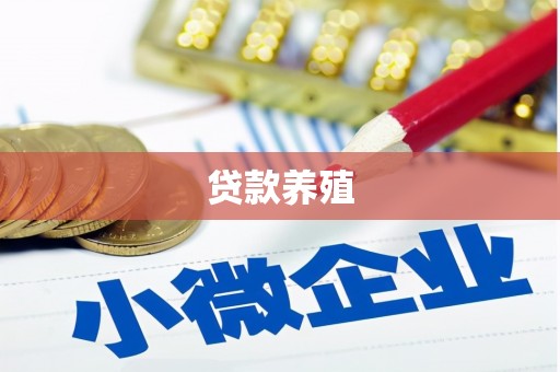 天元贷款养殖