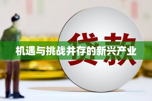 天元机遇与挑战并存的新兴产业