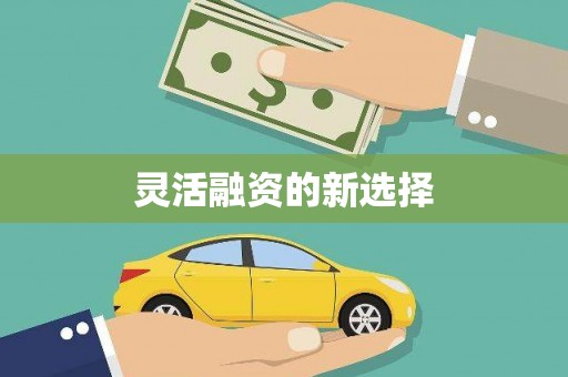 天元灵活融资的新选择