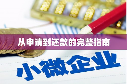 天元从申请到还款的完整指南