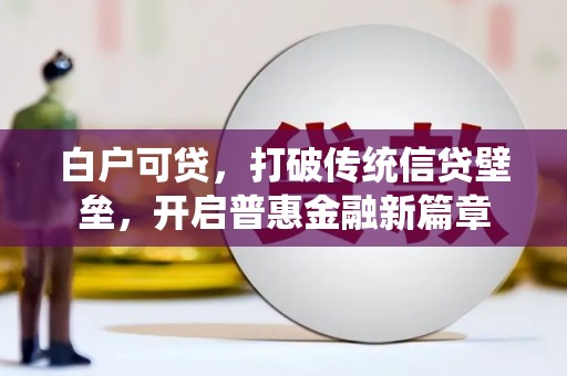 天元白户可贷，打破传统信贷壁垒，开启普惠金融新篇章