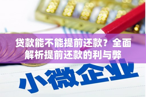 天元贷款能不能提前还款？全面解析提前还款的利与弊