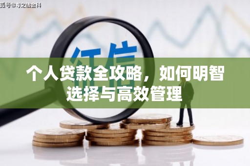 天元个人贷款全攻略，如何明智选择与高效管理