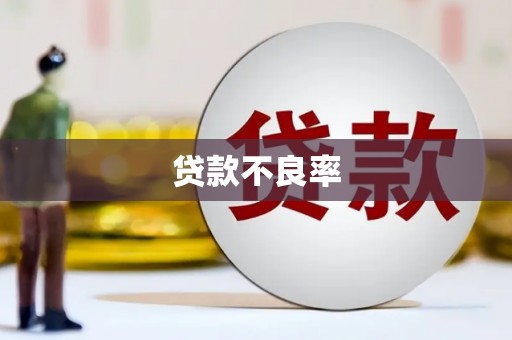 天元贷款不良率