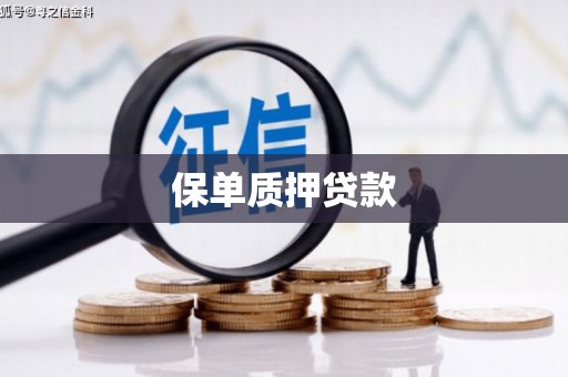 天元保单质押贷款