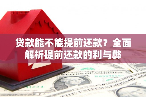 天元贷款能不能提前还款？全面解析提前还款的利与弊