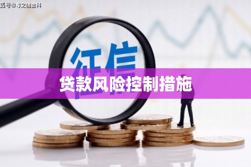 天元贷款风险控制措施