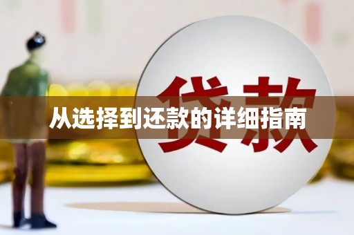 天元从选择到还款的详细指南