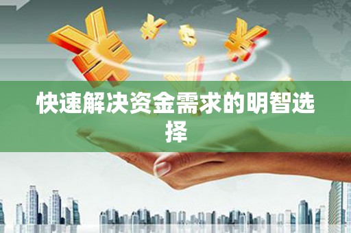 天元快速解决资金需求的明智选择