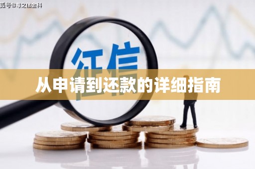 天元从申请到还款的详细指南