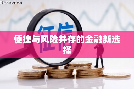 天元便捷与风险并存的金融新选择