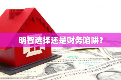 天元明智选择还是财务陷阱？