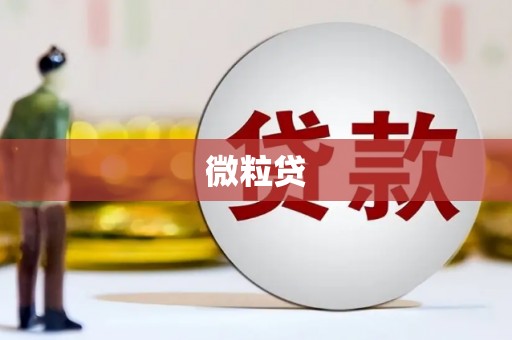 天元微粒贷